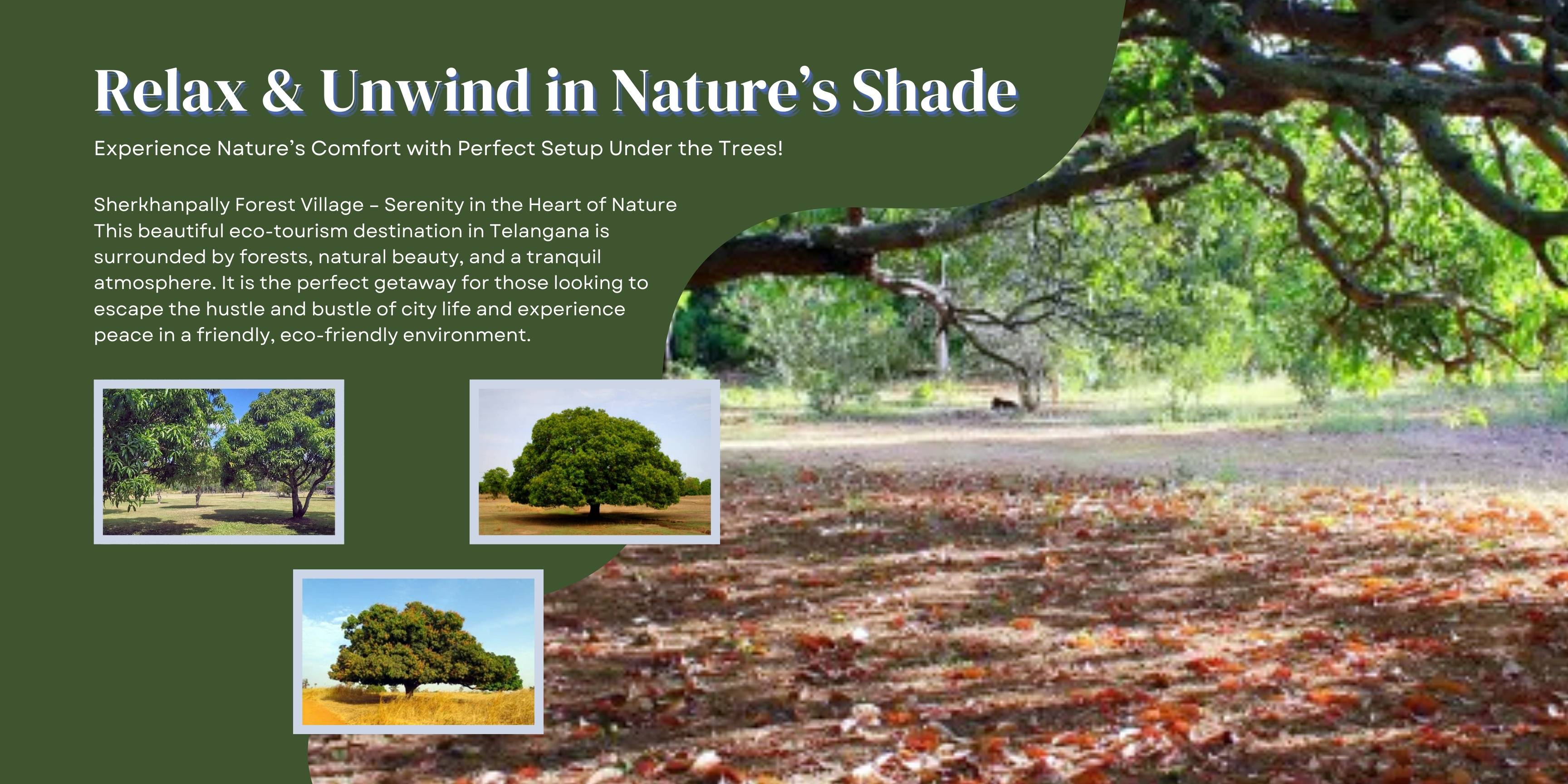 Sherkhanpally Forest Village